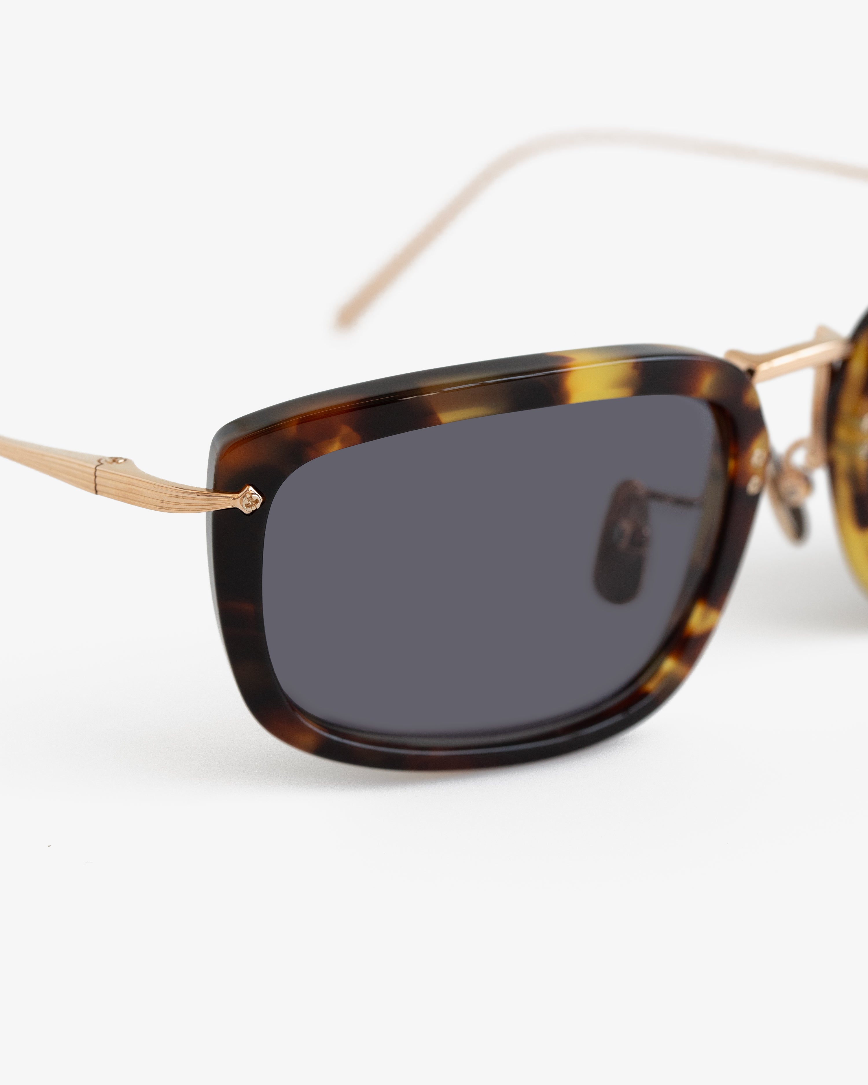 Close-up of Ace Sunglasses: tortoiseshell frames, gold metal arms, and dark lenses against a white background.