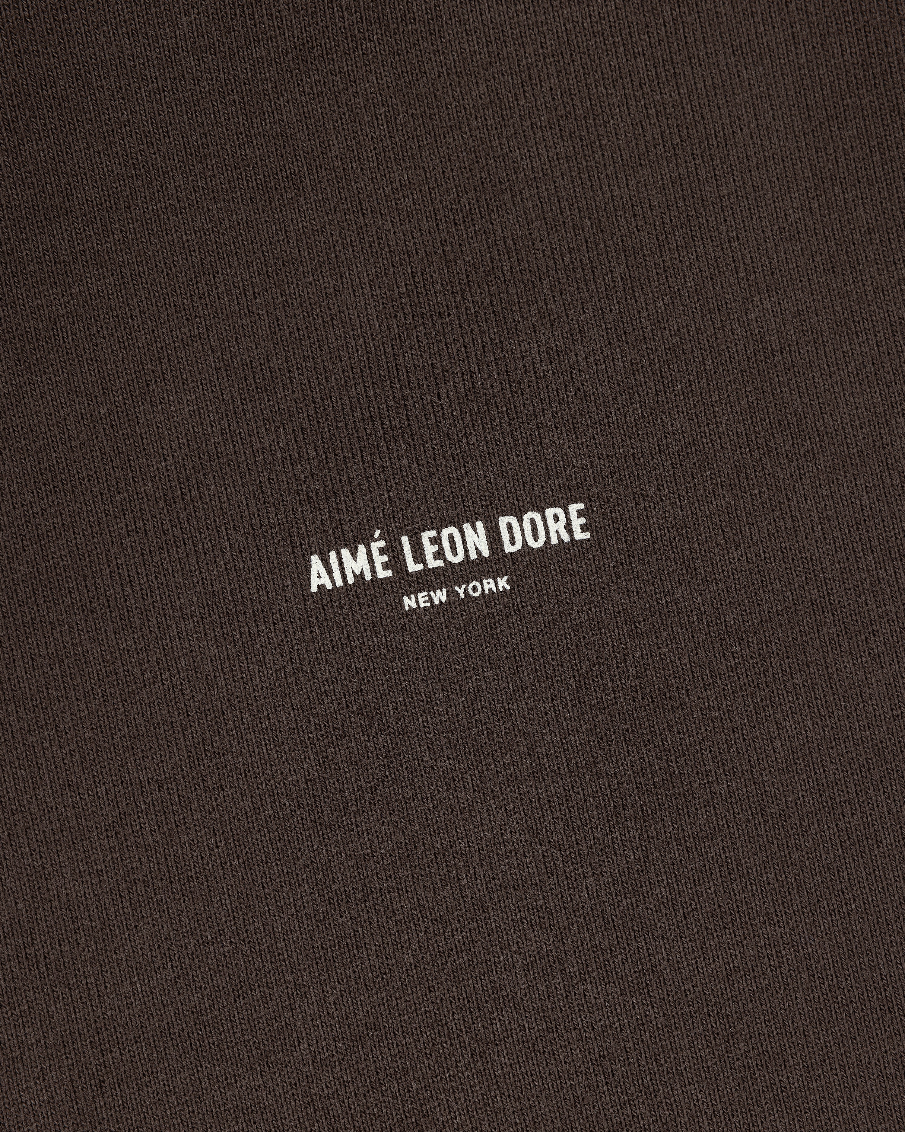 Brown Micro Logo Hoodie with AIMÉ LEON DORE NEW YORK in small white capital letters centered on the front.
