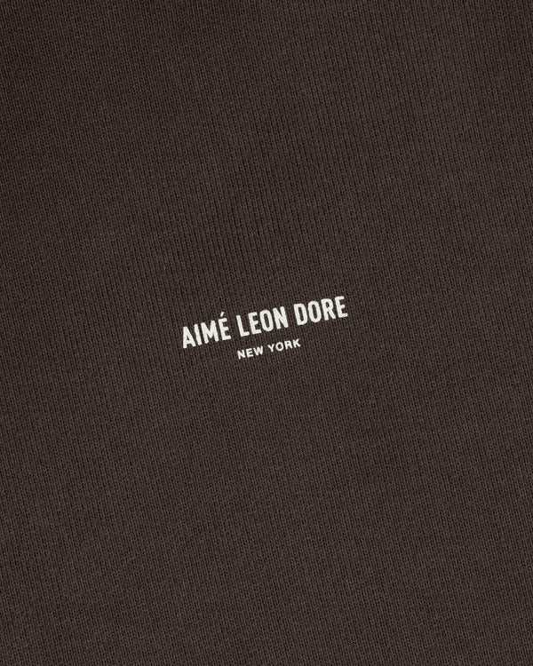 Brown Micro Logo Hoodie with AIMÉ LEON DORE NEW YORK in small white capital letters centered on the front.