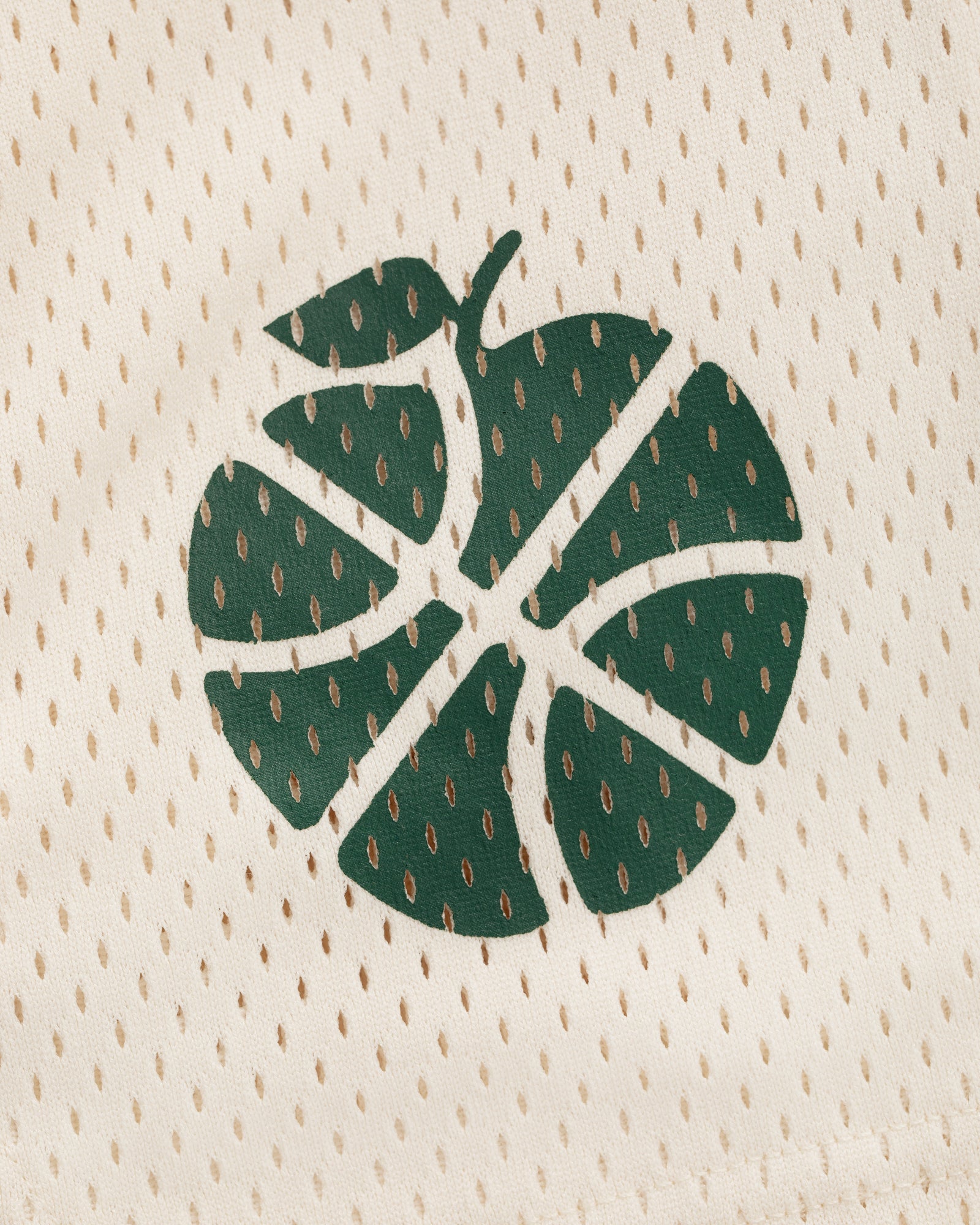 ALD / New Balance SONNY NY Gym Short in beige mesh with green monstera leaf basketball print.