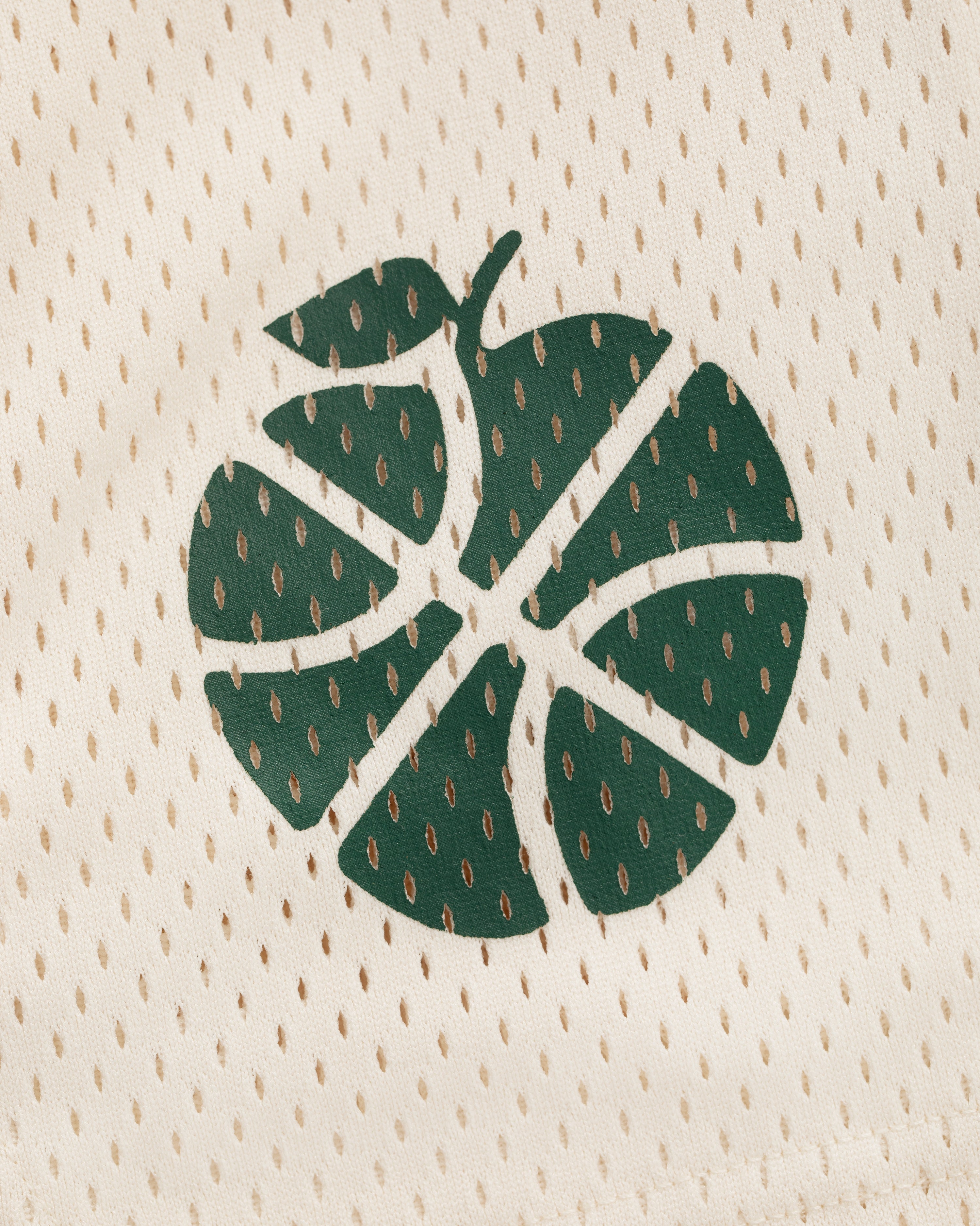 ALD / New Balance SONNY NY Gym Short in beige mesh with green monstera leaf basketball print.