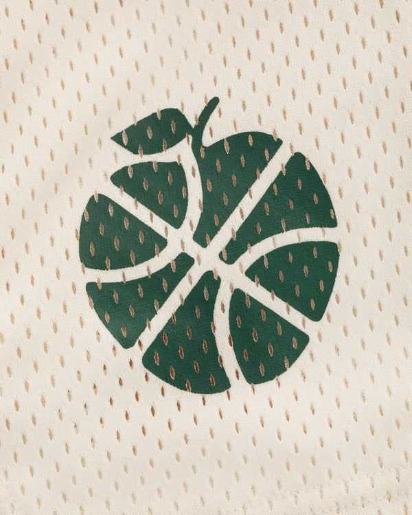 ALD / New Balance SONNY NY Gym Short in beige mesh with green monstera leaf basketball print.