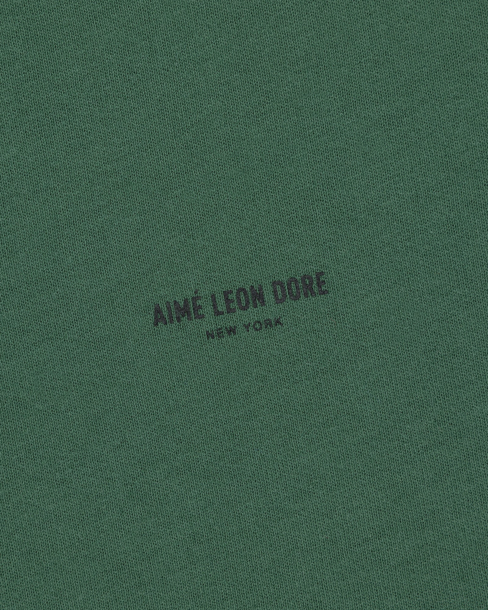 Green Micro Logo Tee with small black "AIMÉ LEON DORE NEW YORK" text printed in the center.