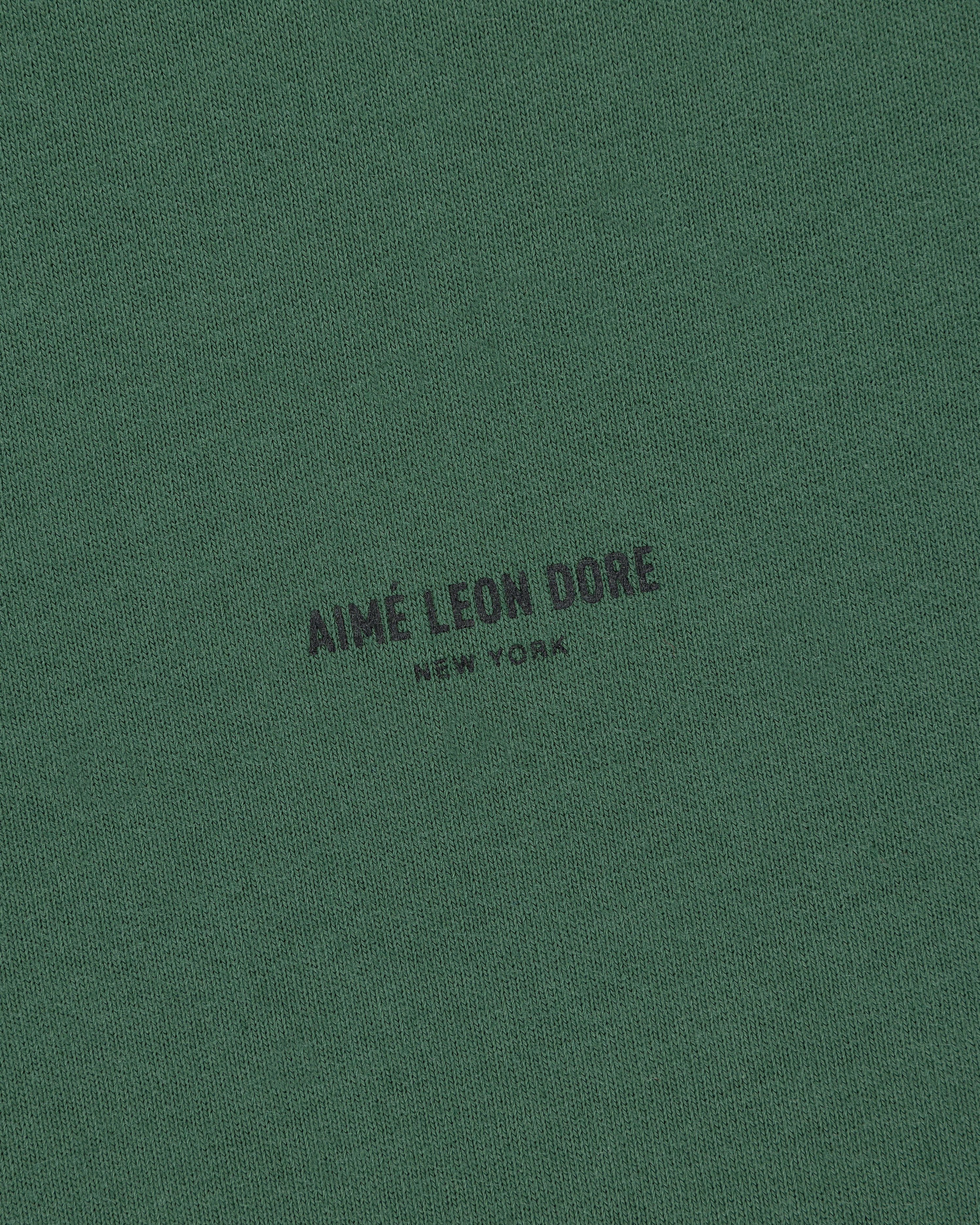 Green Micro Logo Tee with small black "AIMÉ LEON DORE NEW YORK" text printed in the center.
