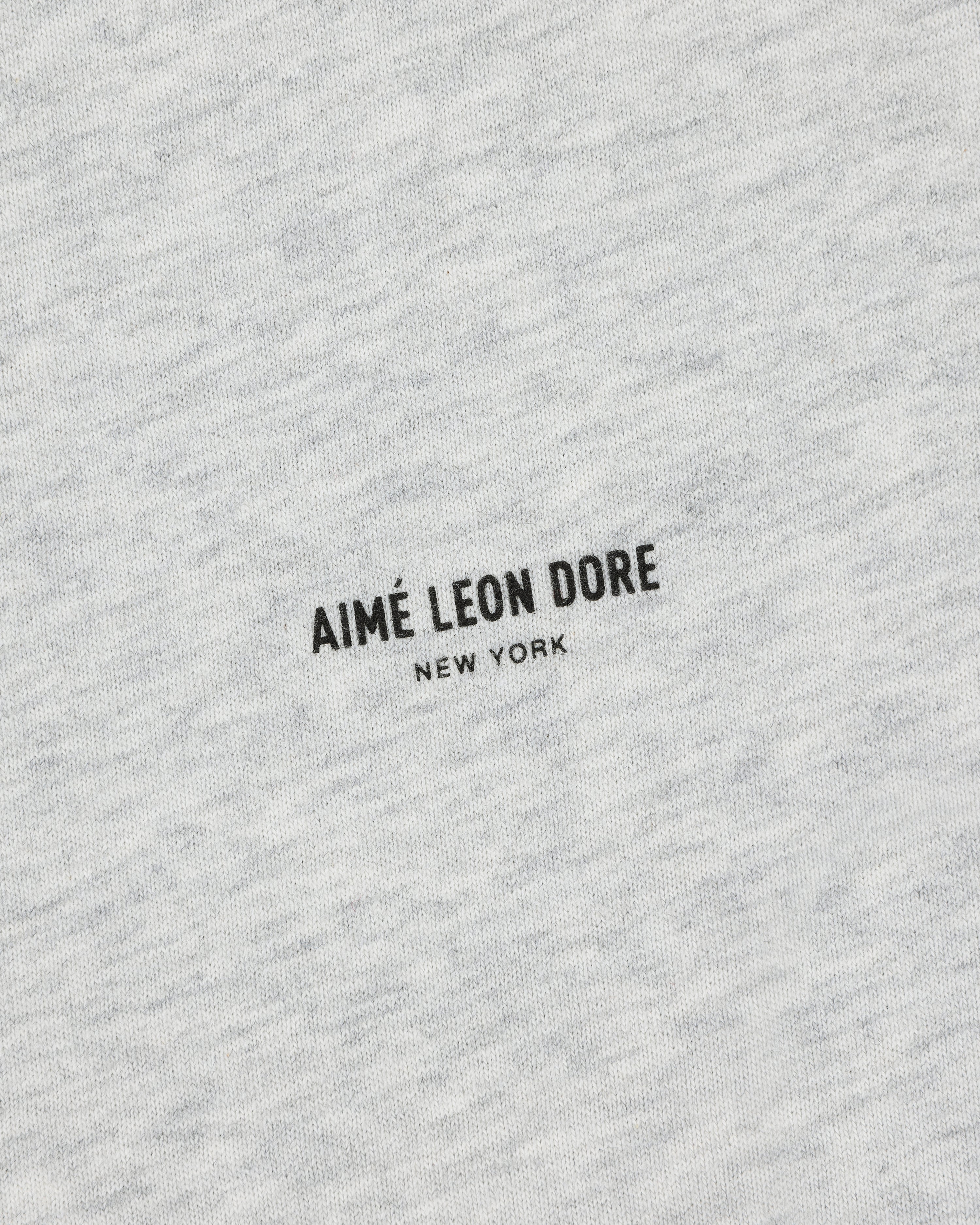 Close-up of light gray Micro Logo Tee with black, all-caps "AIMÉ LEON DORE NEW YORK" printed at the center.