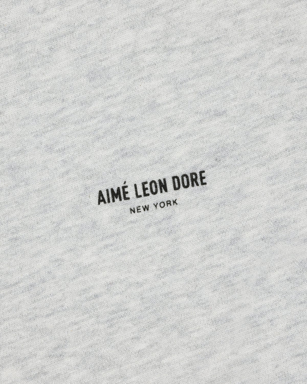 Close-up of light gray Micro Logo Tee with black, all-caps "AIMÉ LEON DORE NEW YORK" printed at the center.