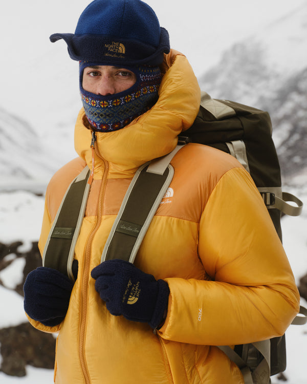 Person in yellow puffy jacket, blue hat, and ALD / The North Face Fleece Gloves, on snowy mountains with backpack.