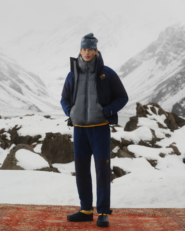 A person in ALD / The North Face Denali Fleece Pant stands on a red rug in a snowy, rocky mountain landscape.