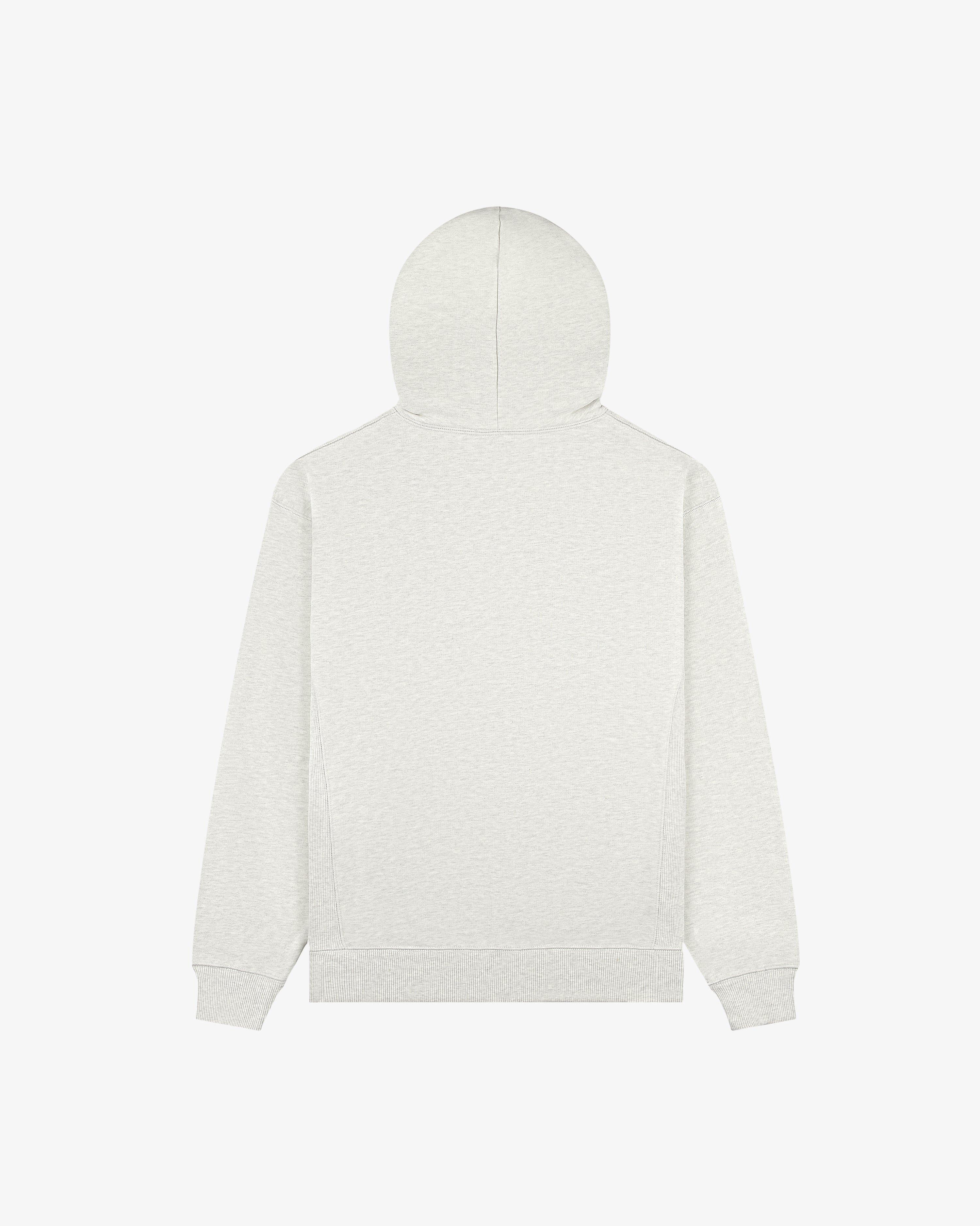 Back view of the Tonal Logo Hoodie in light gray with long sleeves and hood, shown on a white background.