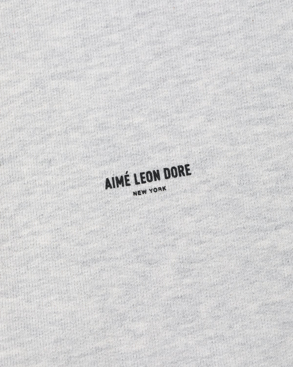 Gray Micro Logo Hoodie with small black "AIMÉ LEON DORE NEW YORK" text centered on the fabric.