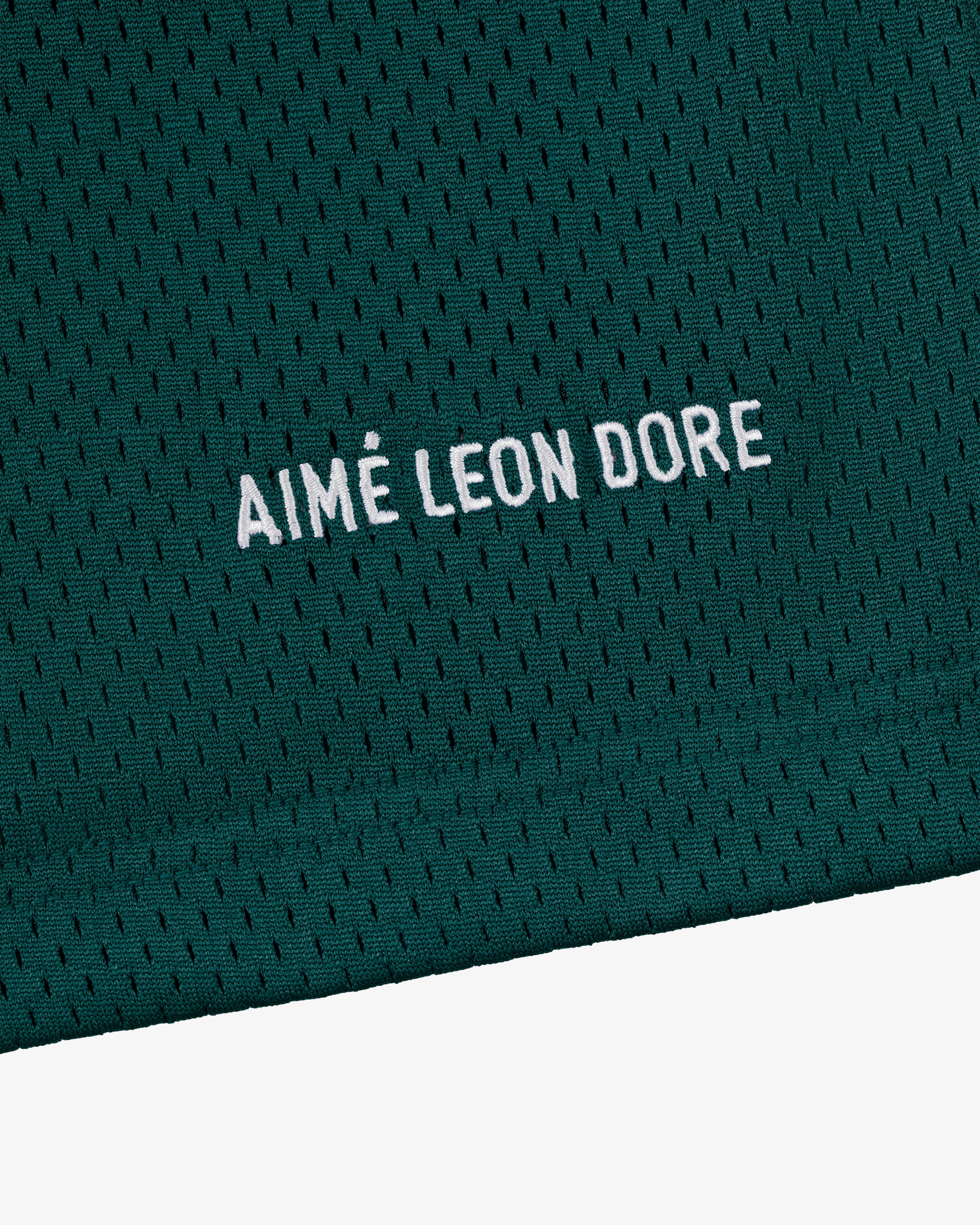 Close-up of green mesh Logo Gym Short with AIMÉ LEON DORE embroidered in white capital letters.