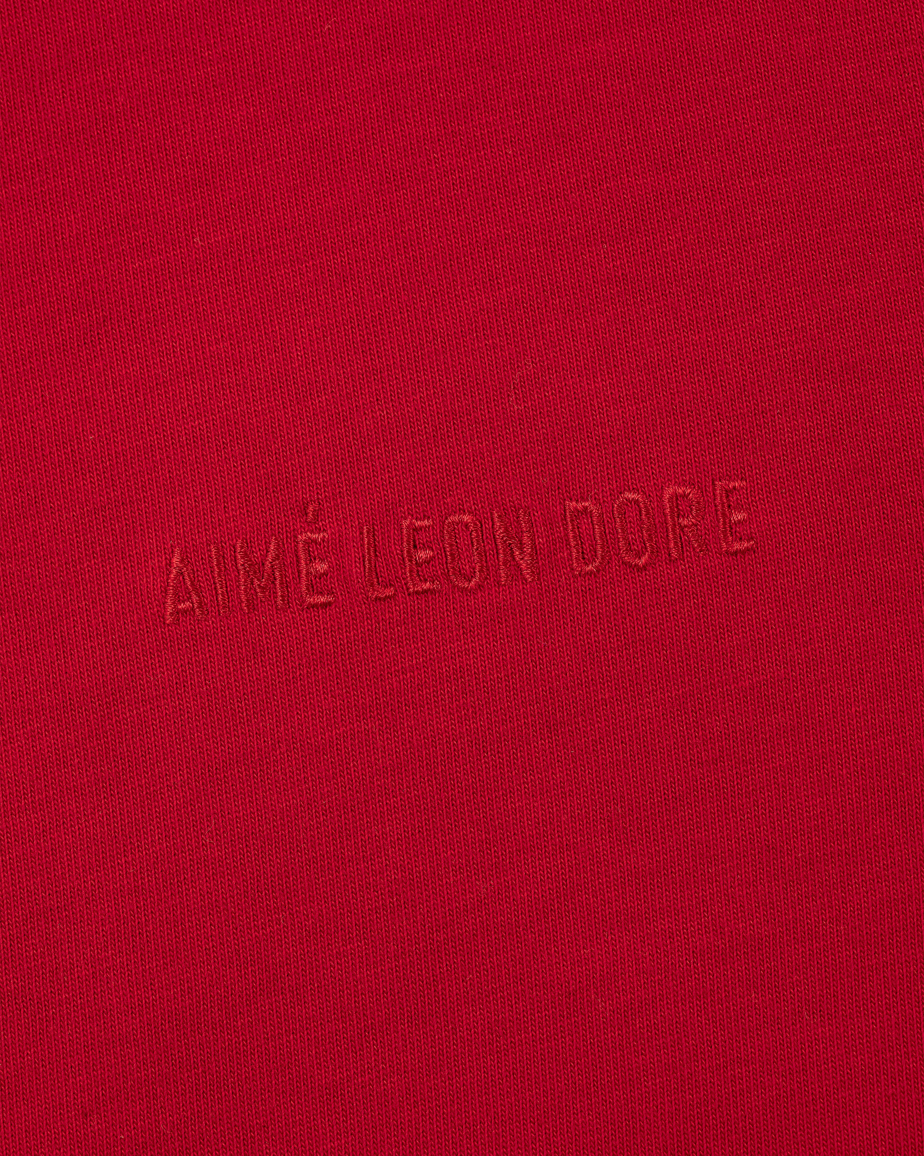 Tonal Logo Tee in red fabric featuring AIMÉ LEON DORE embroidered in matching red at the center.