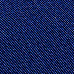 Color: Dodgers blue