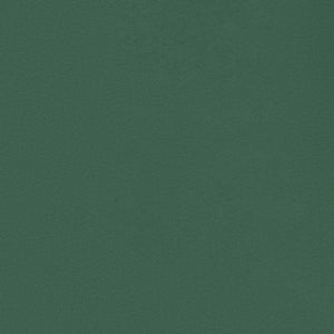 Color: Jungle green