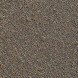 Color: Coffee bean