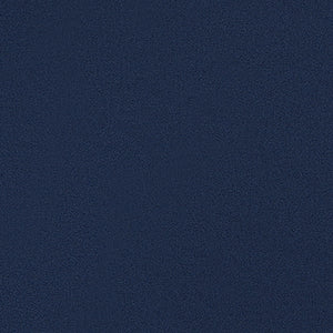 Color: Navy blazer